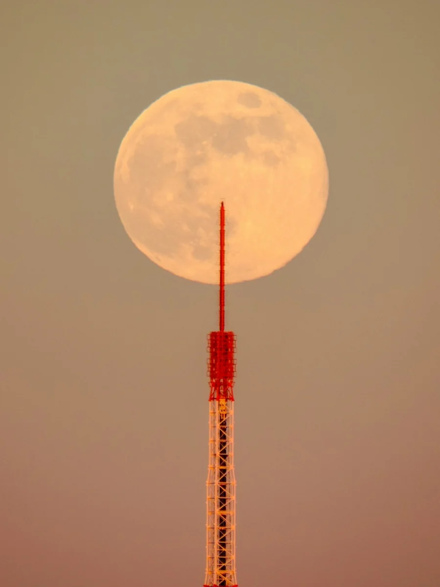 投稿写真：パール東京タワー