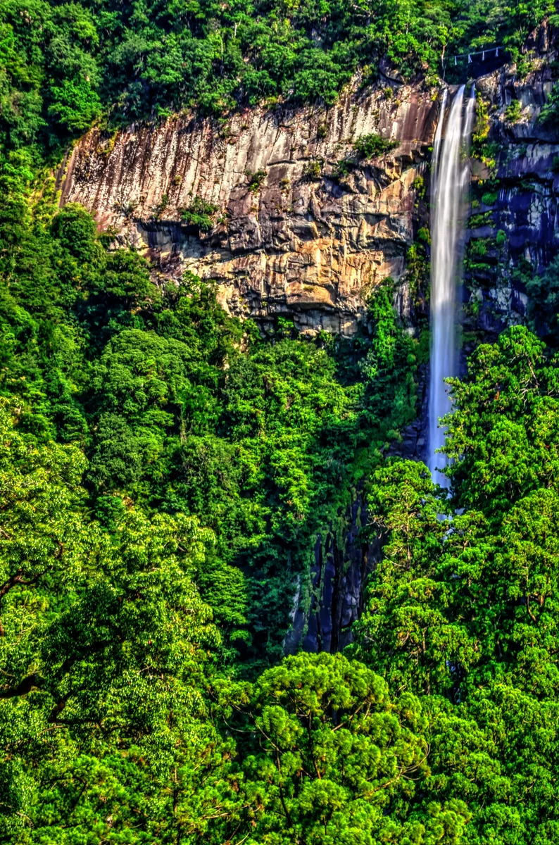 投稿写真：那智の大瀑布