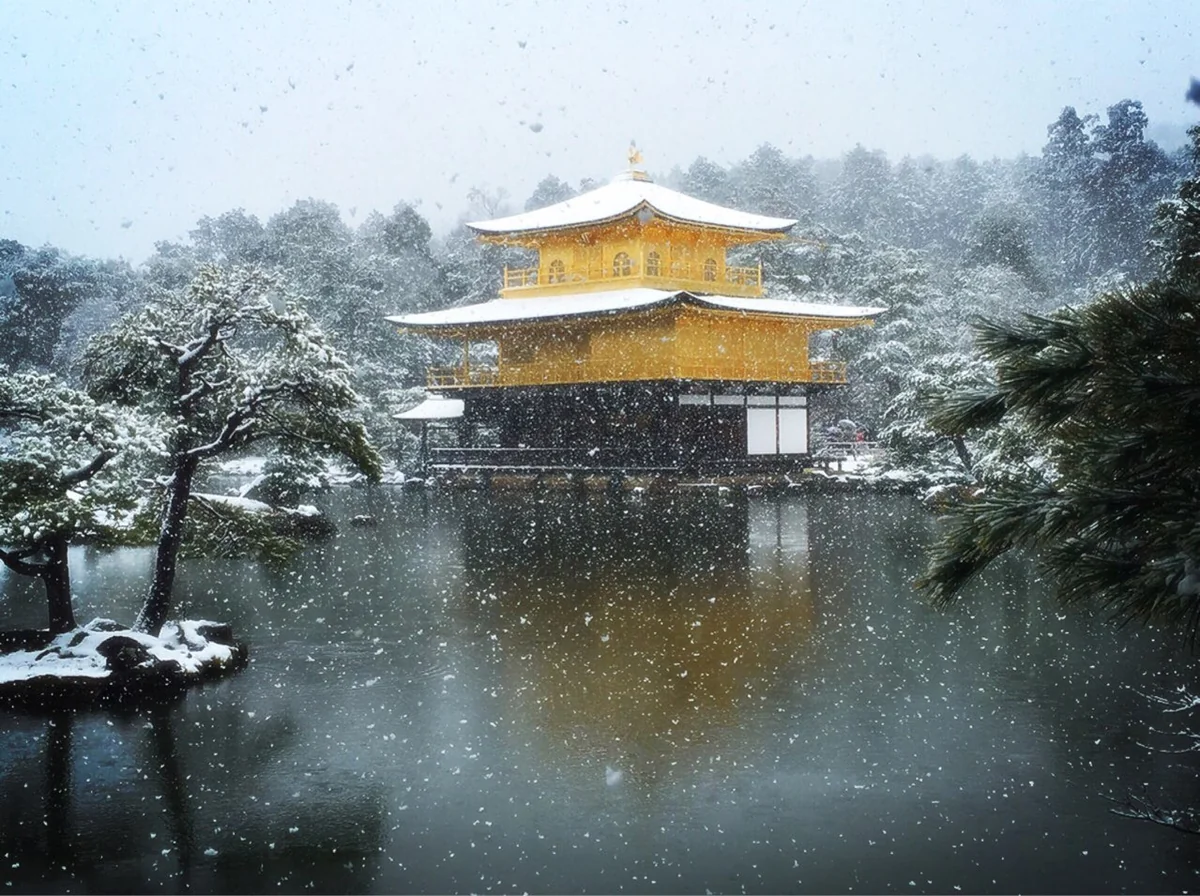 投稿写真：金閣寺