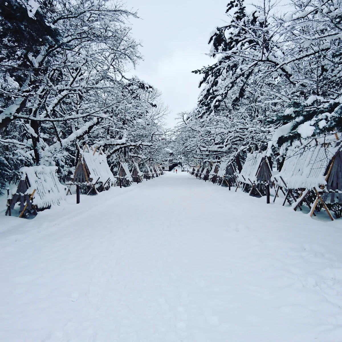 投稿写真：弘前公園