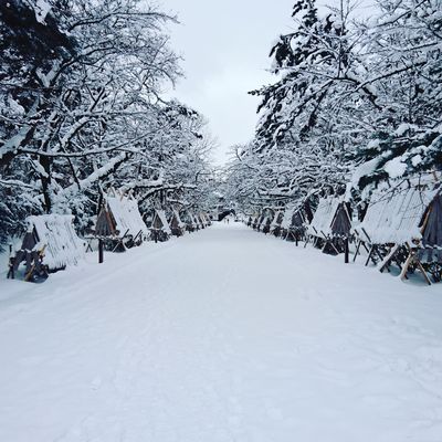  | 絶景事典