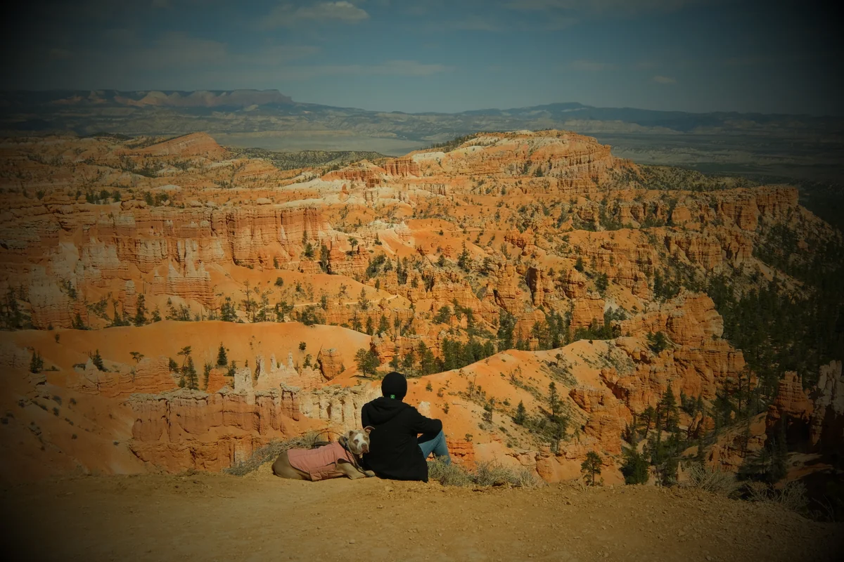 投稿写真：ブライスキャニオンで佇む飼い主と犬