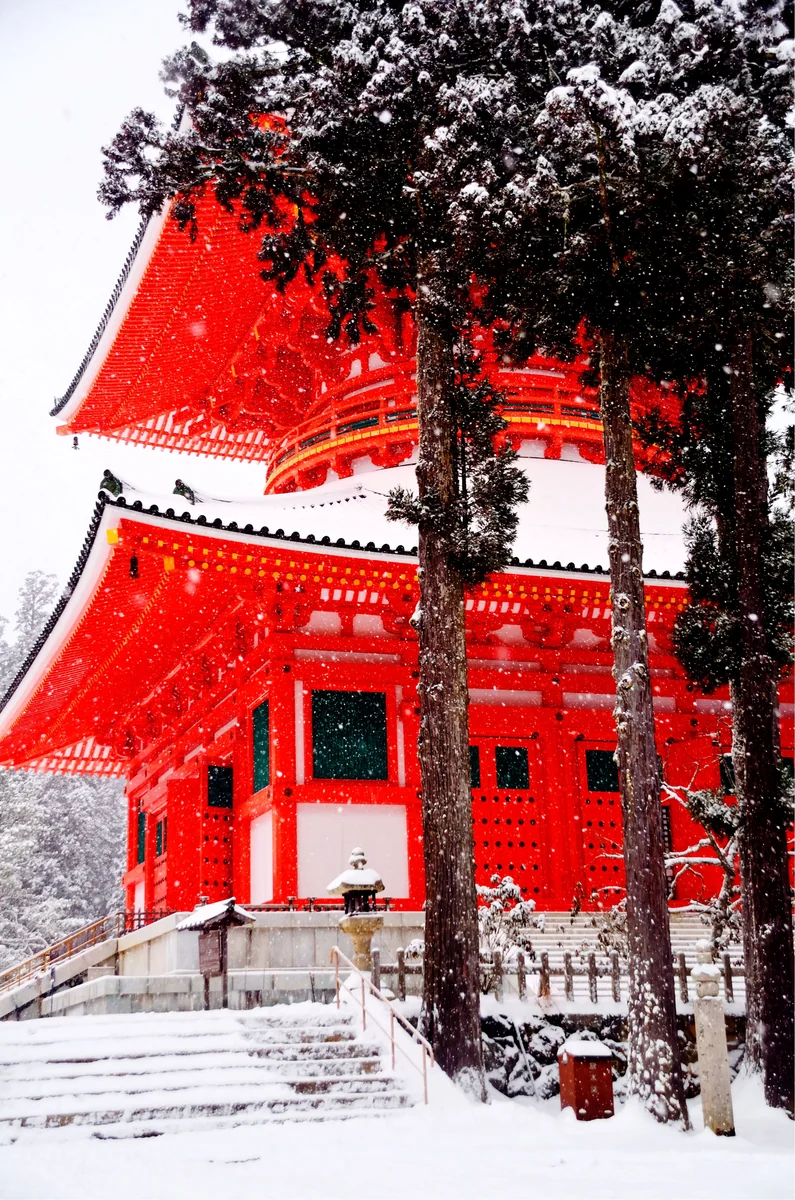投稿写真：雪の高野山壇上伽藍
