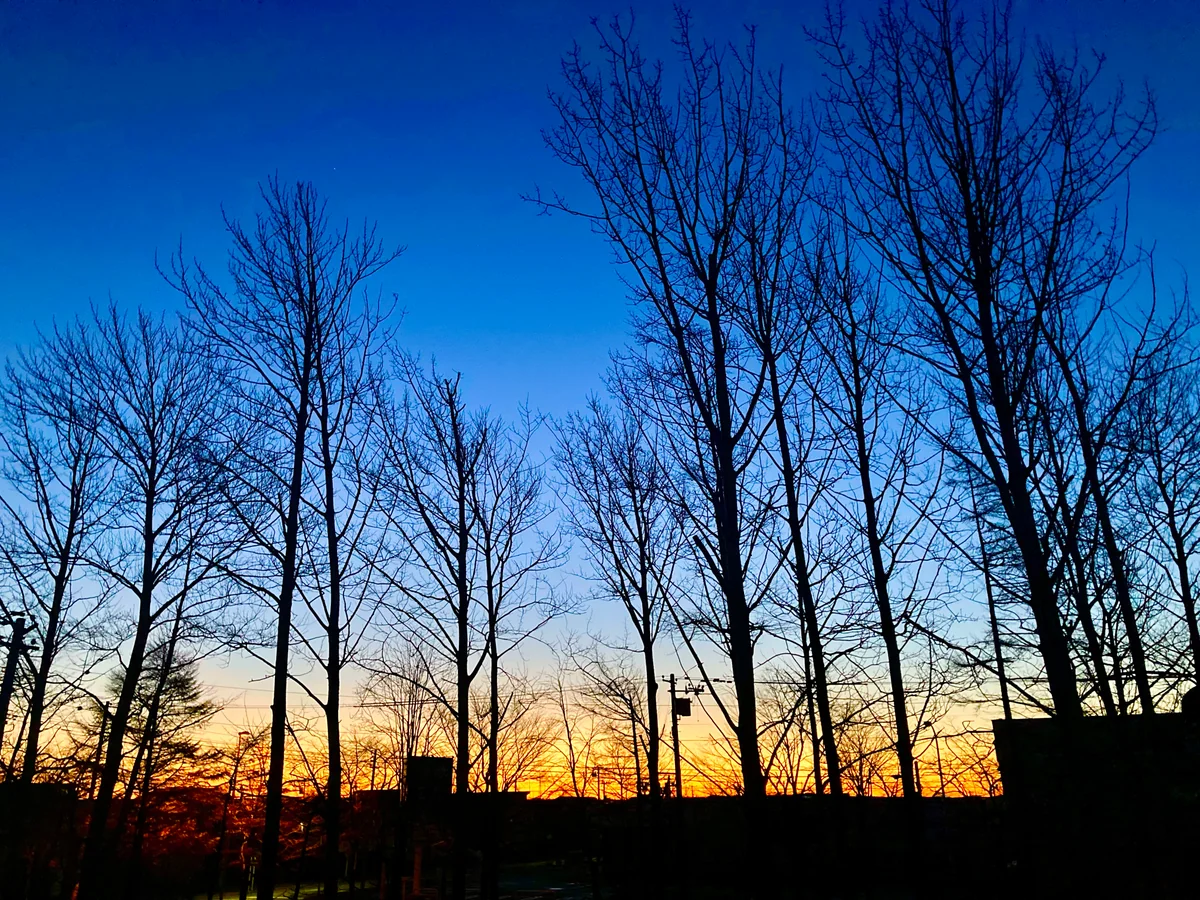 投稿写真：北の大地の朝