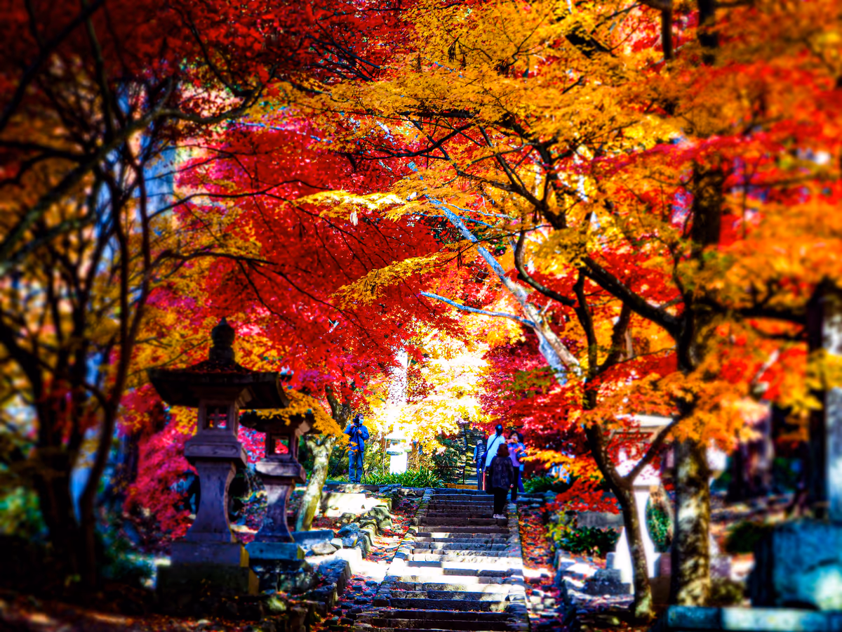 投稿写真：長野市若穂の清水寺