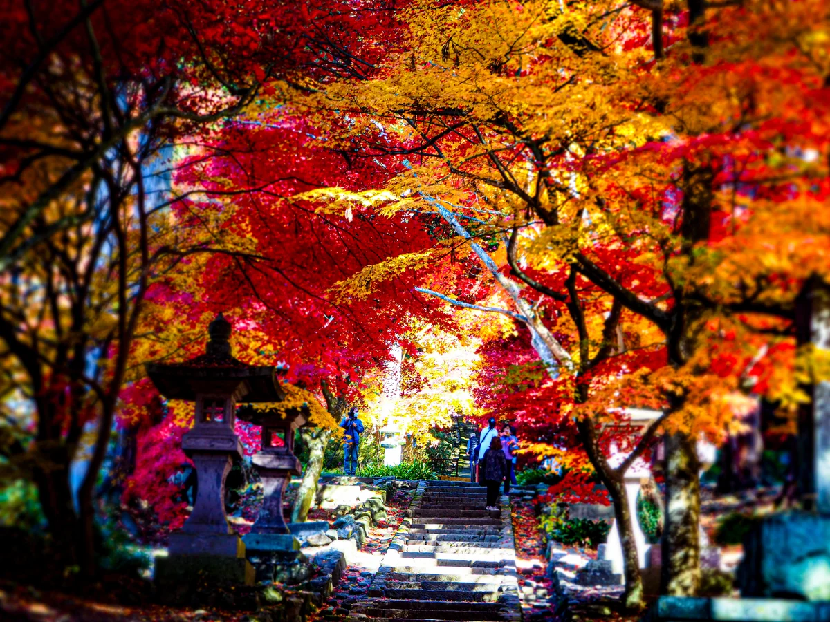 投稿写真：長野市若穂の清水寺
