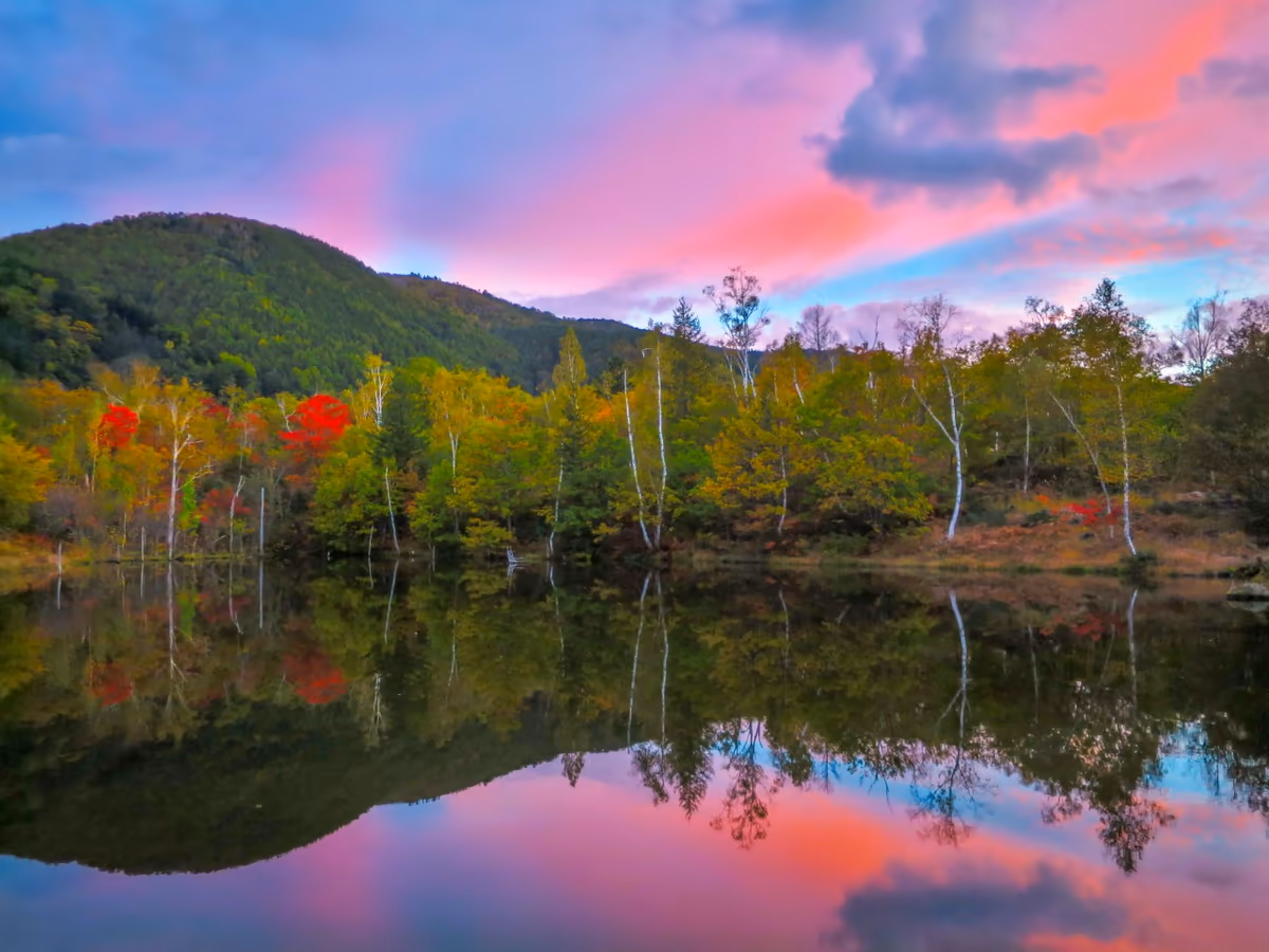 投稿写真：まいめの池に写る夕焼け雲