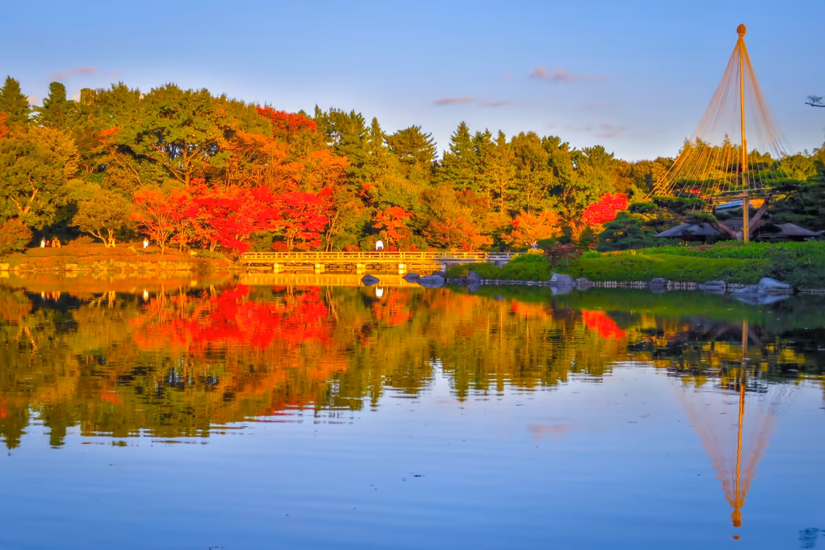 投稿写真：夕日に染まる紅葉のリフレクション