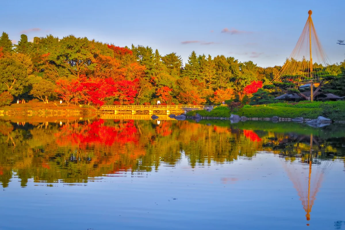 投稿写真：夕日に染まる紅葉のリフレクション