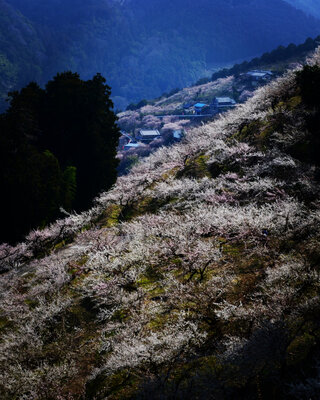  | 絶景事典
