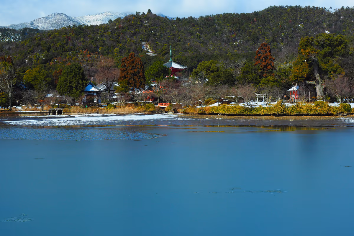 投稿写真：冬の大沢池