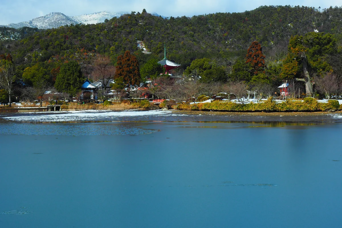 投稿写真：冬の大沢池