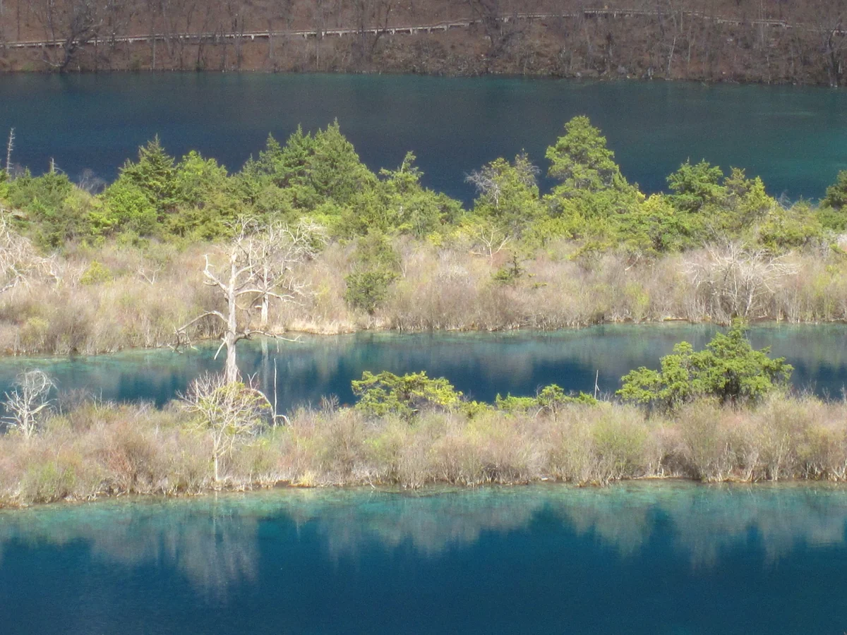 投稿写真：四川省九寨沟