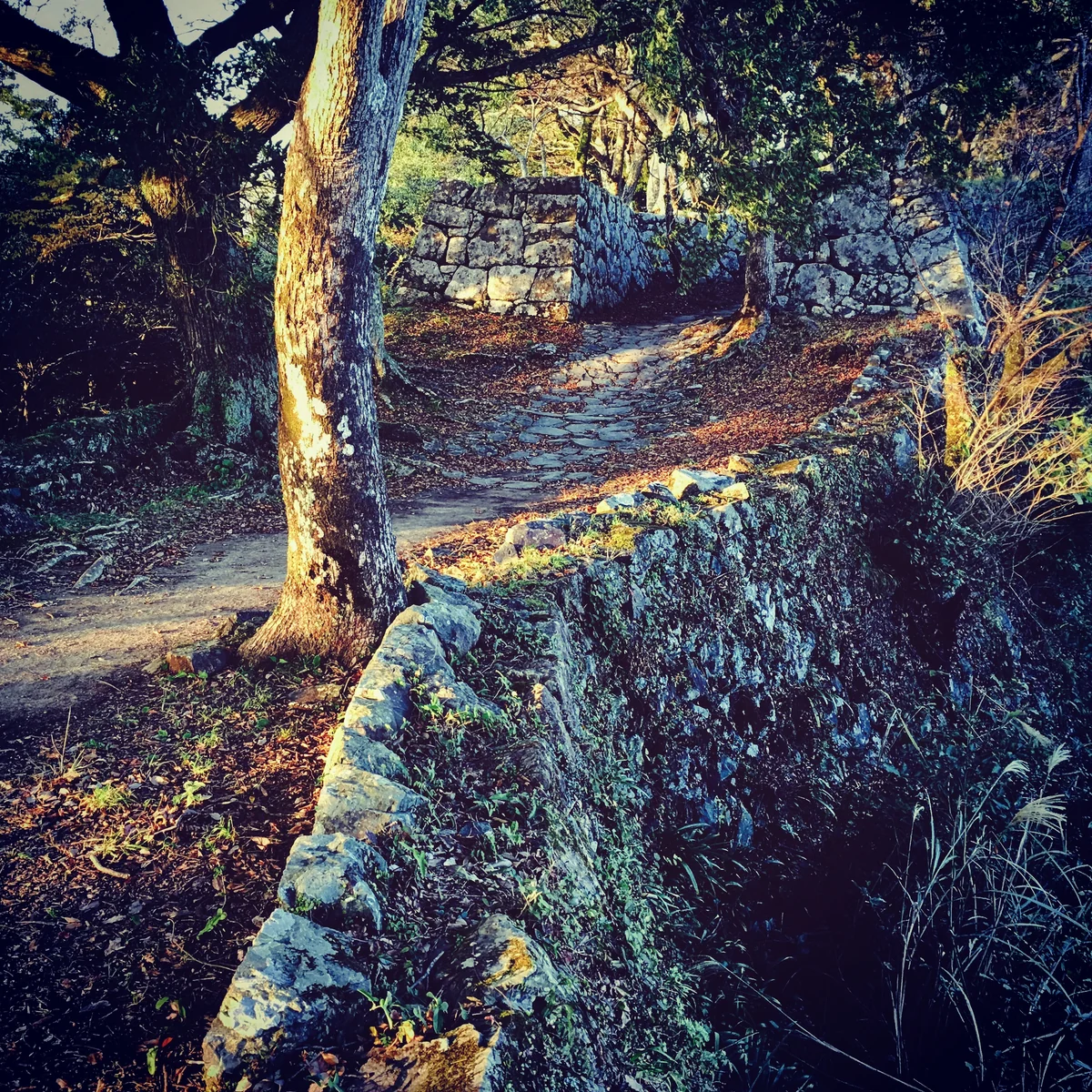 投稿写真：佐伯城