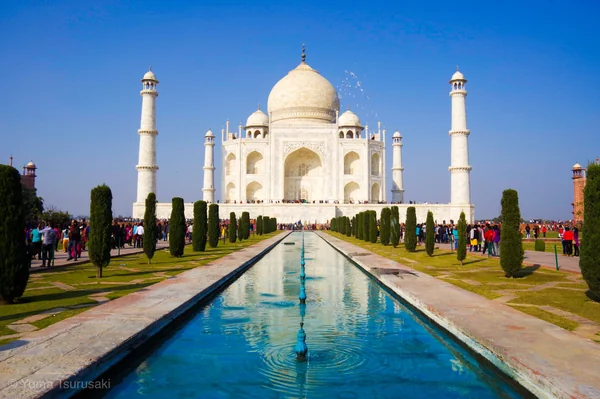 投稿：世界一美しい墓