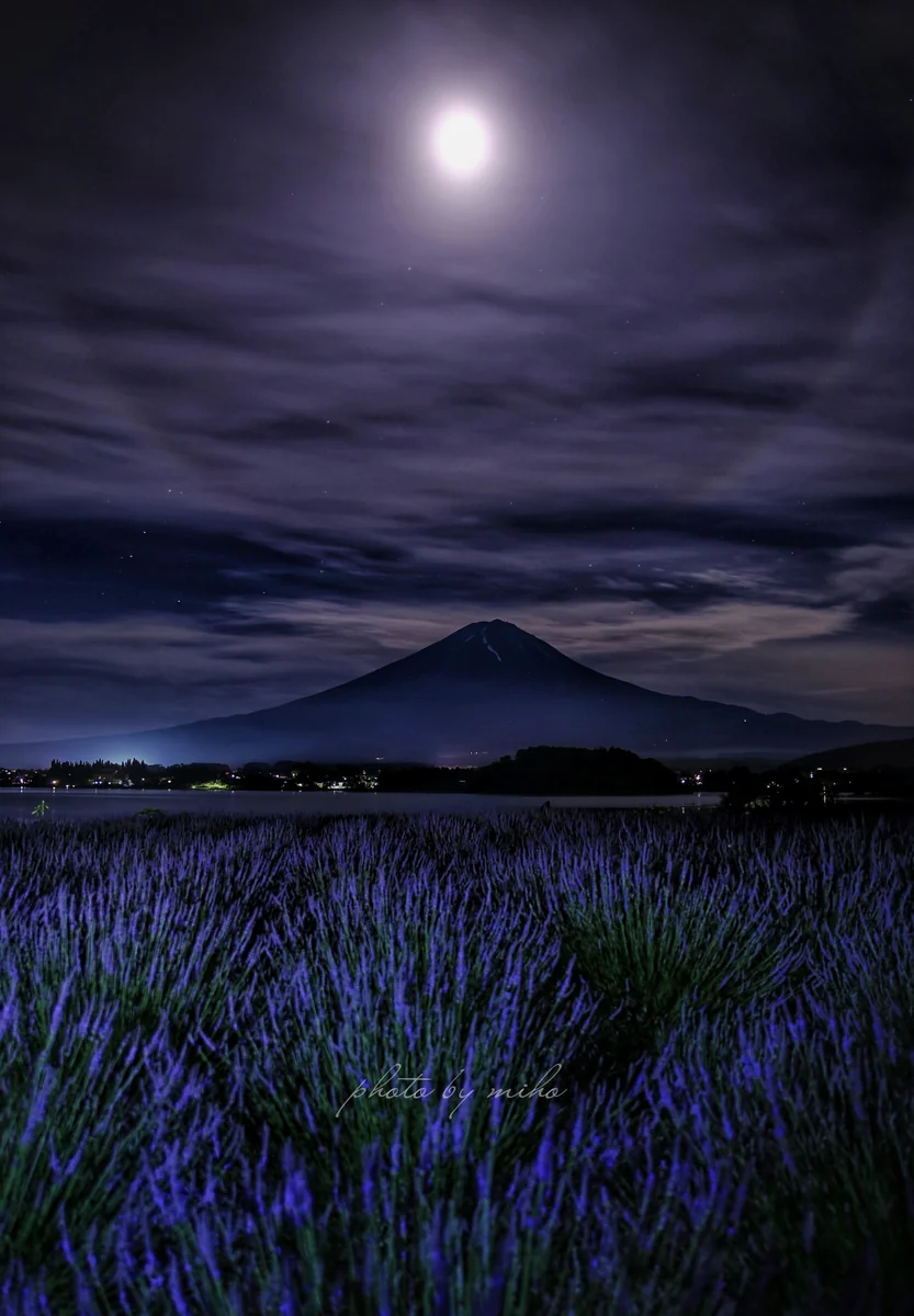 投稿写真：降臨