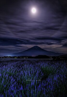  | 絶景事典