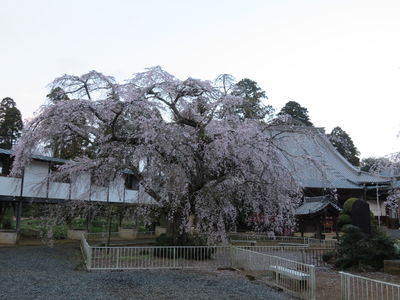  | 絶景事典