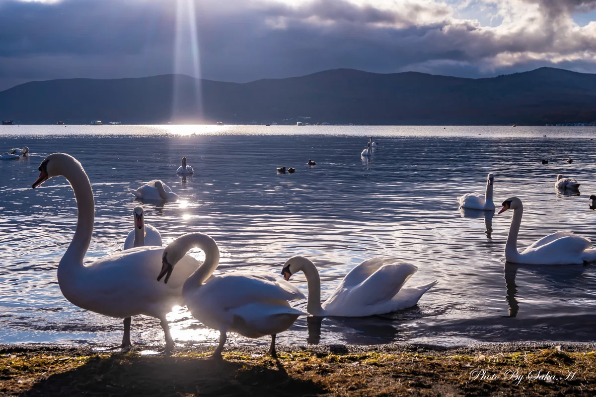 投稿写真：スポットライト