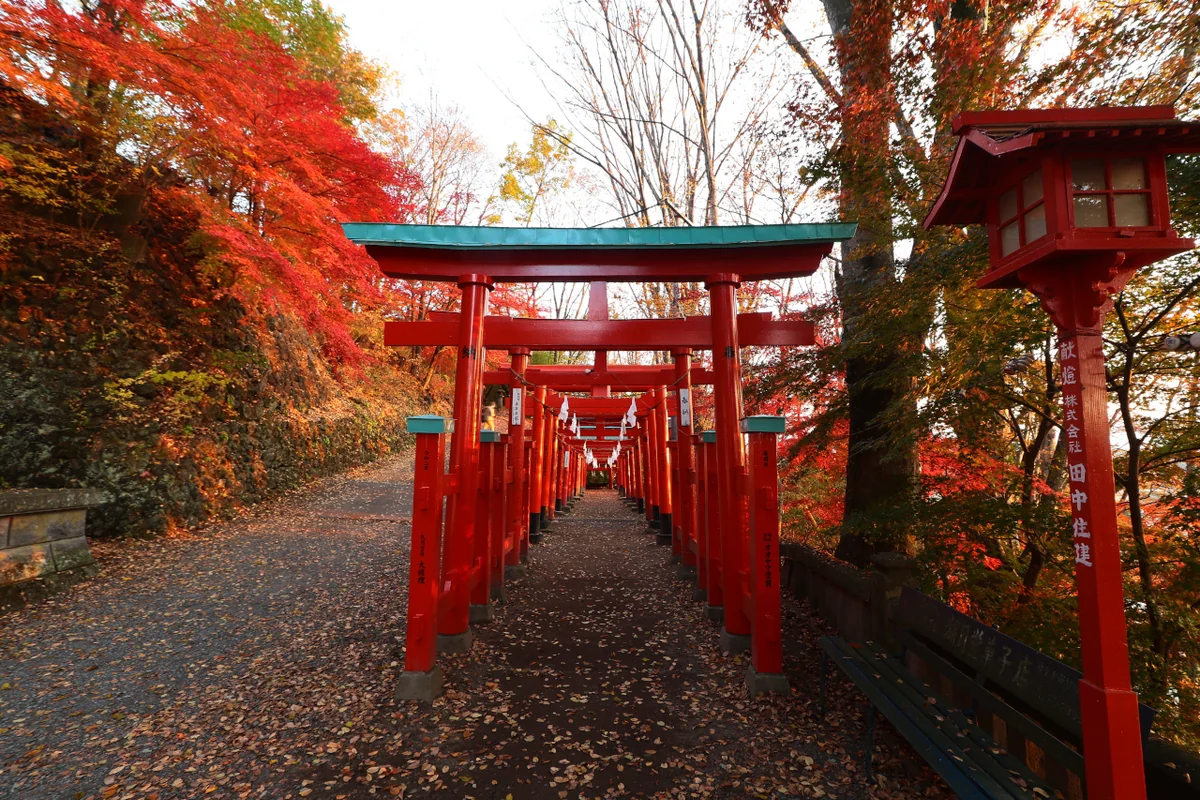 投稿写真：紅に染まる