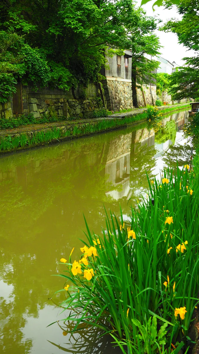 投稿写真：八幡堀
