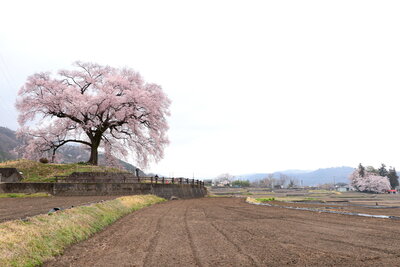 | 絶景事典