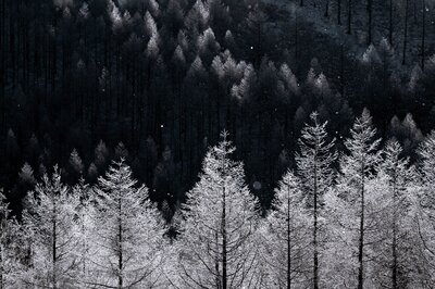  | 絶景事典