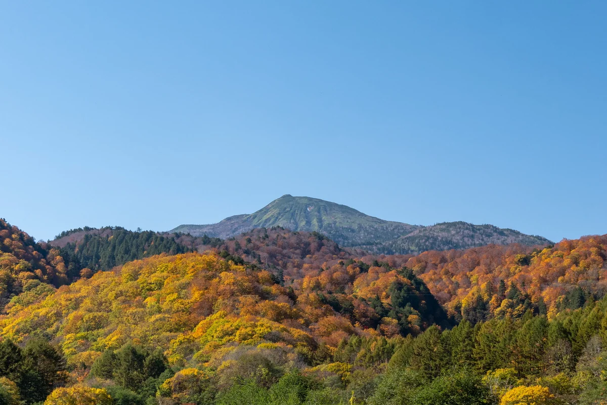 投稿写真：忘れられない山の紅葉