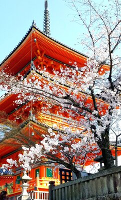  | 絶景事典