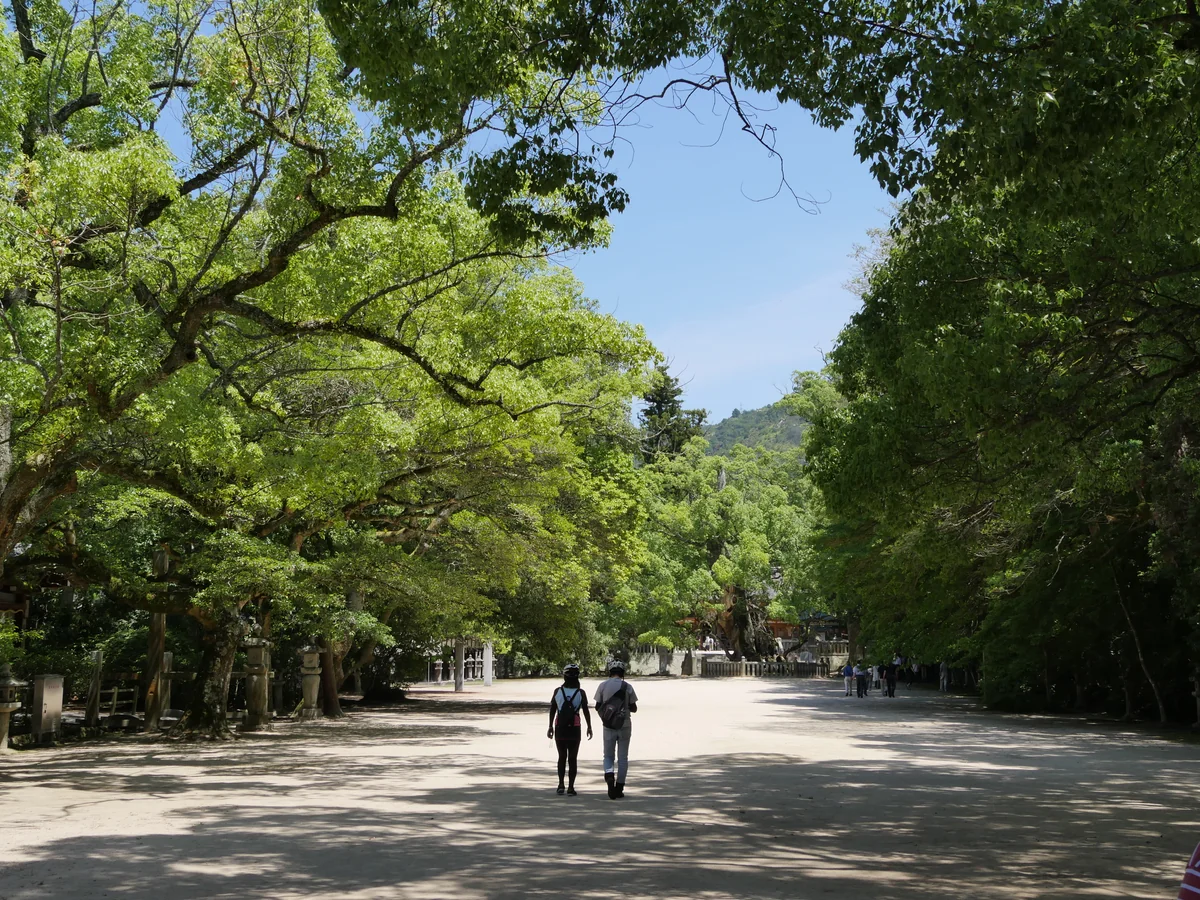投稿写真：大三島 大山祗神社