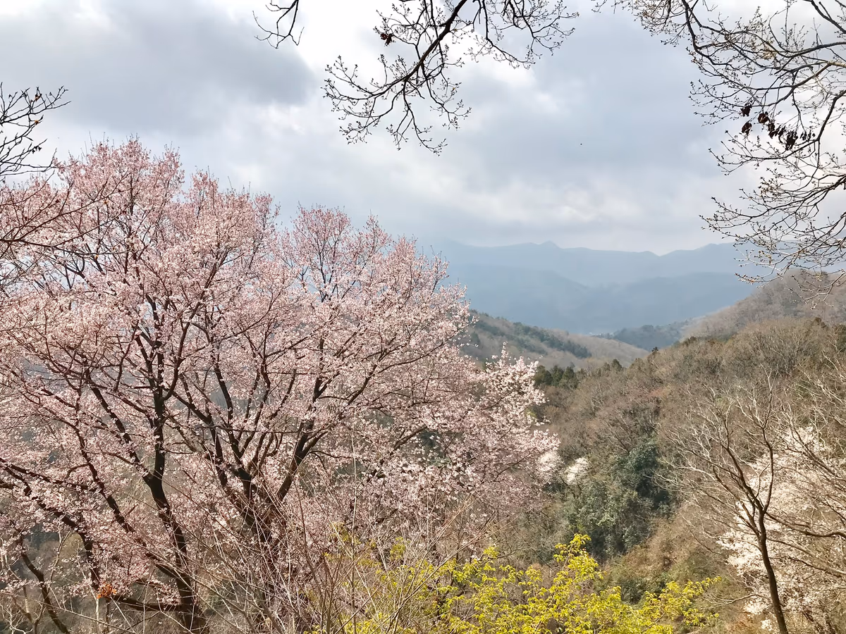 投稿写真：鐘撞堂山