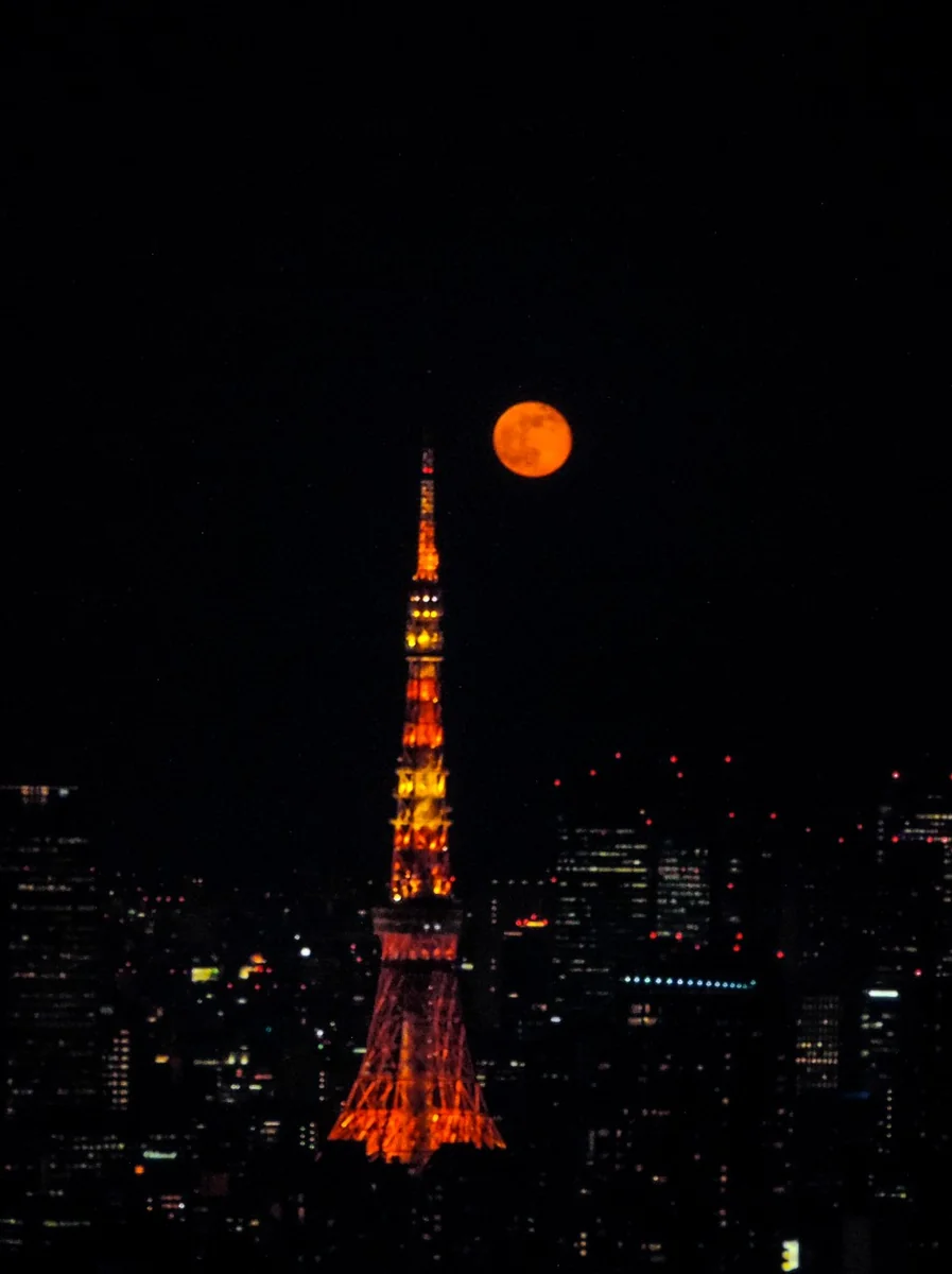 投稿写真：東京タワーとオレンジ色の十六夜月