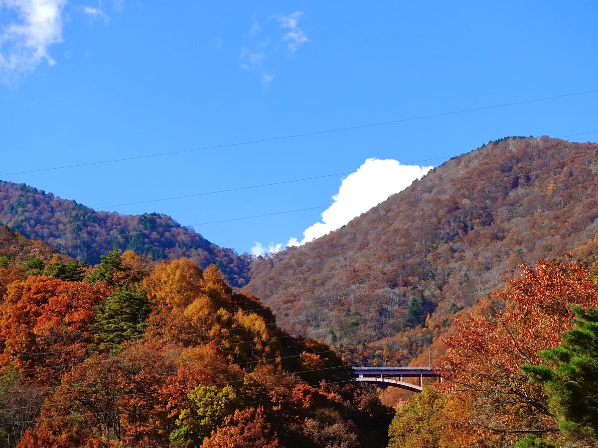 投稿写真：立冬直前の高瀬渓谷