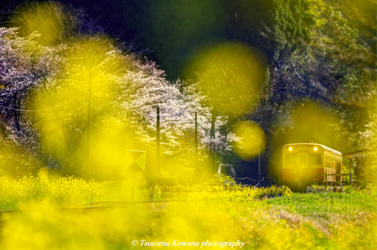 川名 勉さんの投稿写真