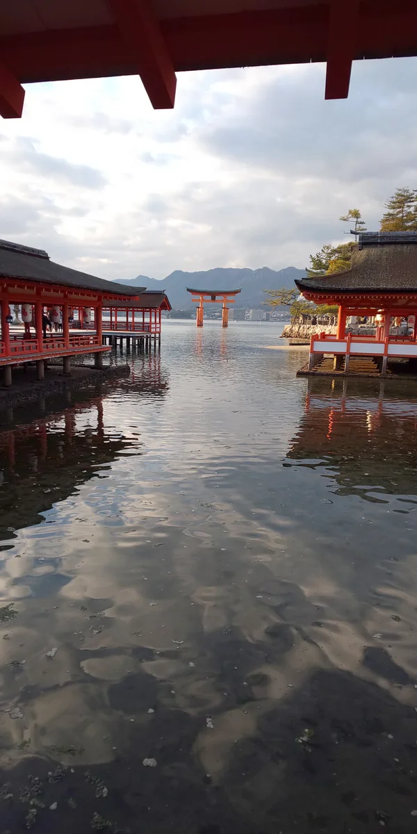 投稿写真：大鳥居