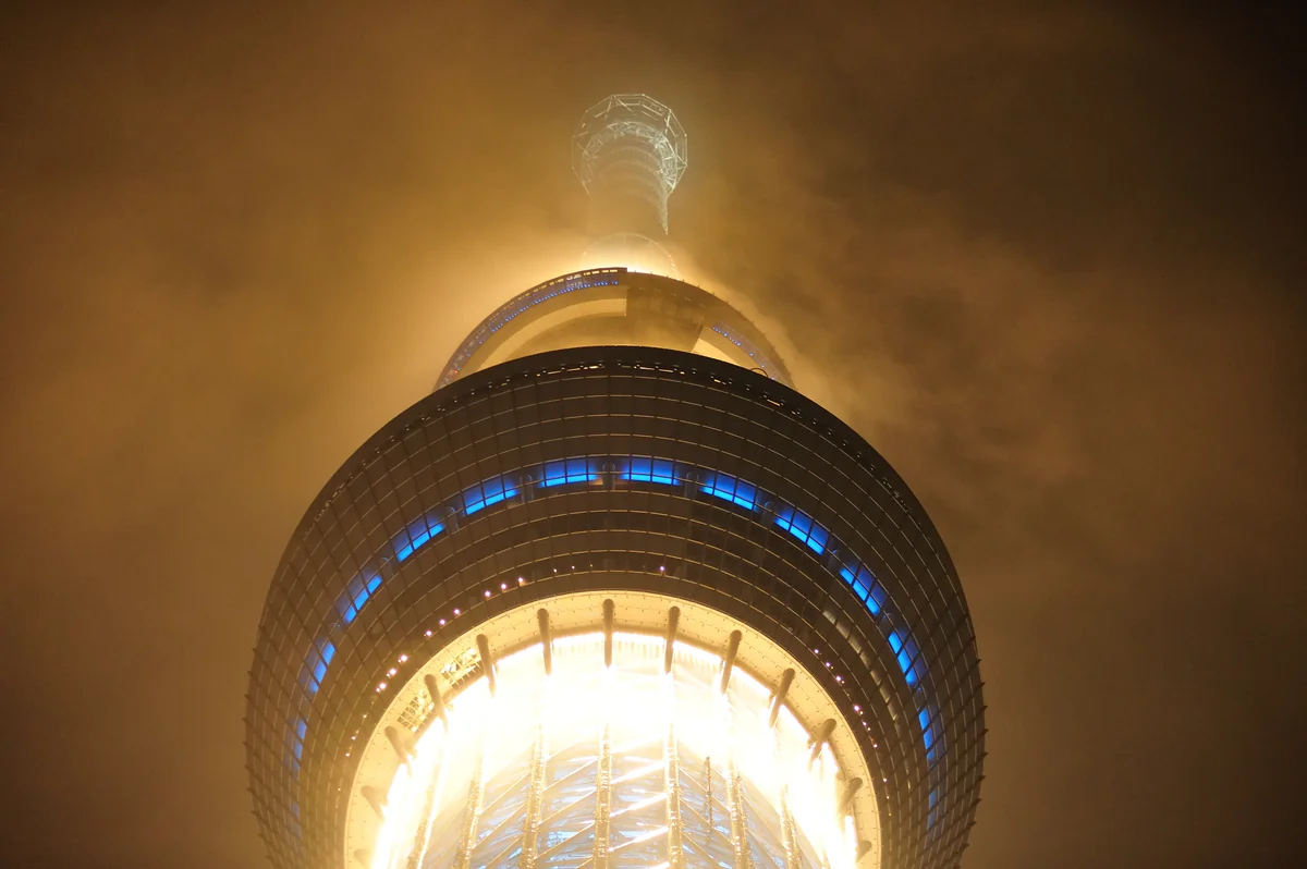 投稿写真：未知との遭遇