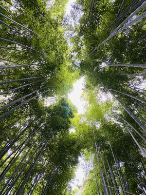  | 絶景事典