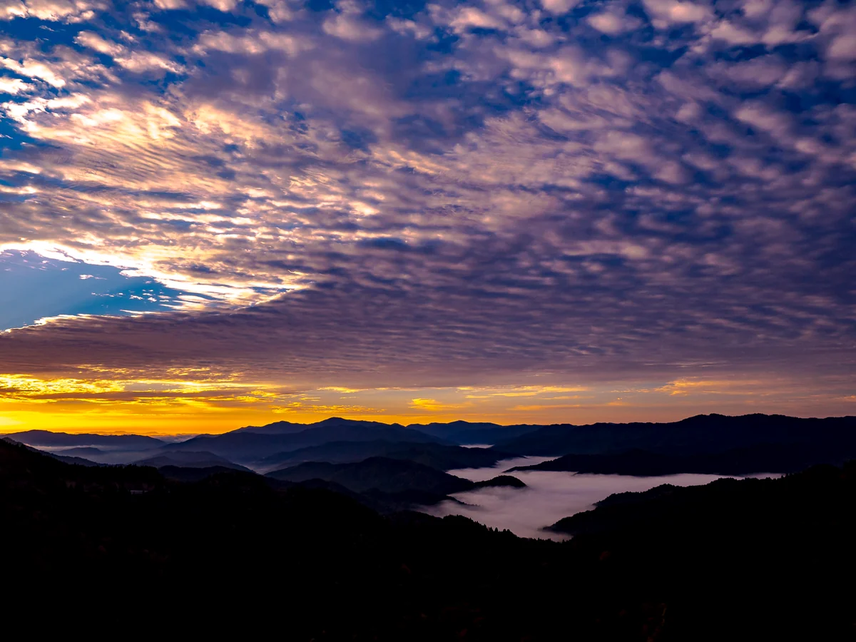 投稿写真：薄明に染まる