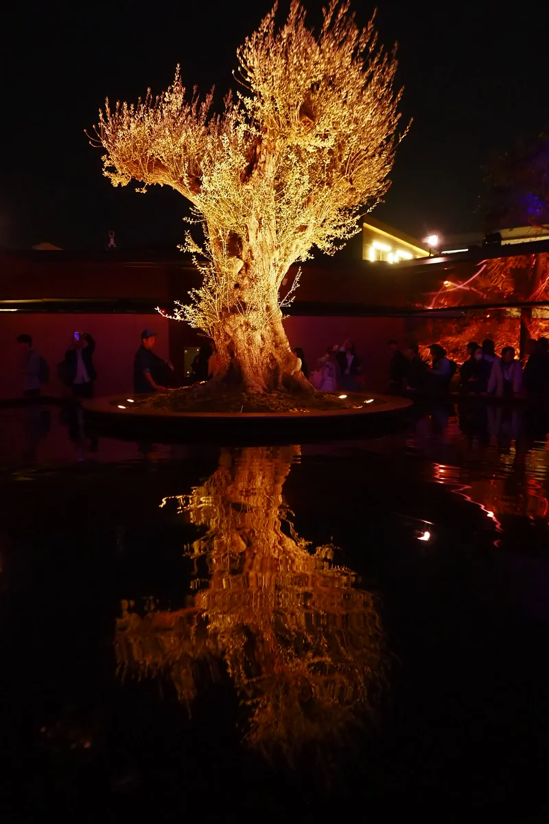 投稿写真：関西万博　フランス館