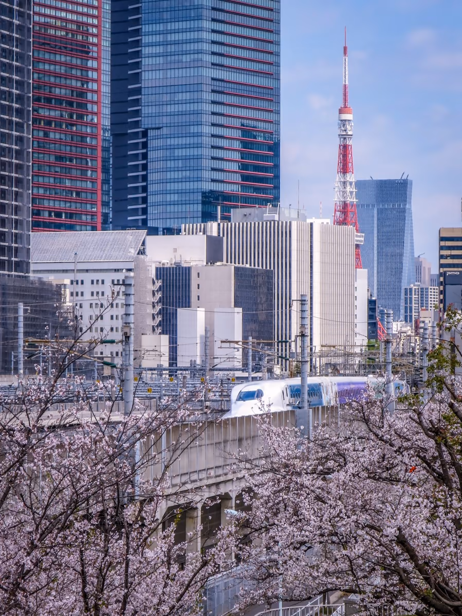 投稿写真：桜と東京タワーとディズニー新幹線