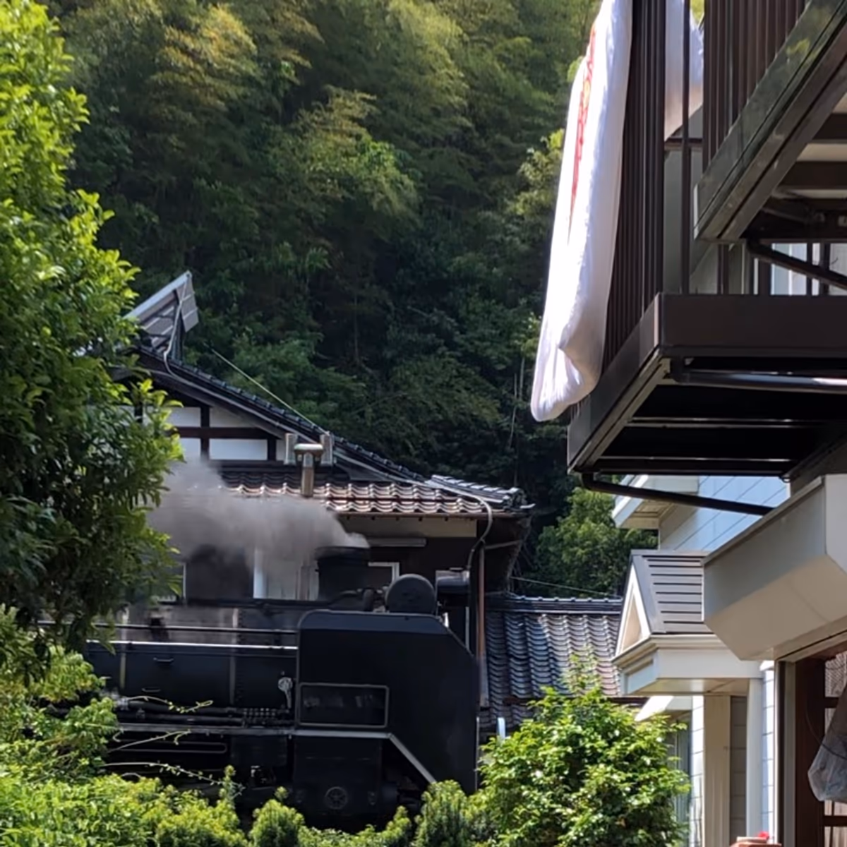 投稿写真：津和野を走るD51-200