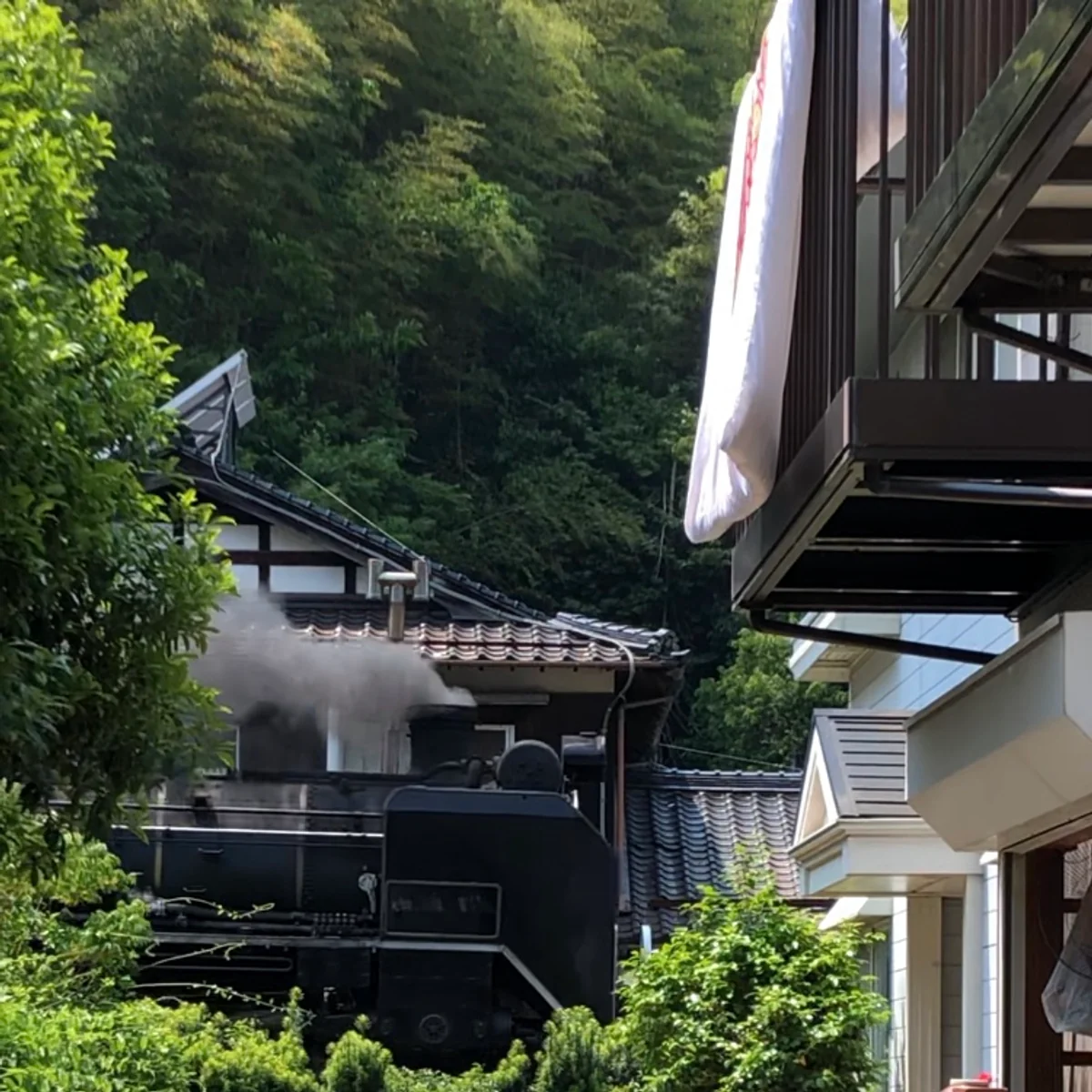 投稿写真：津和野を走るD51-200