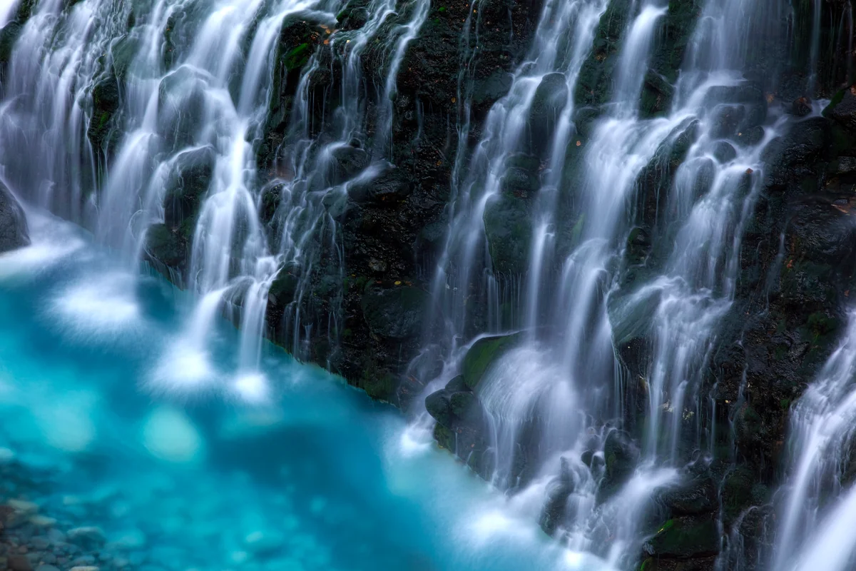 投稿写真：白と青