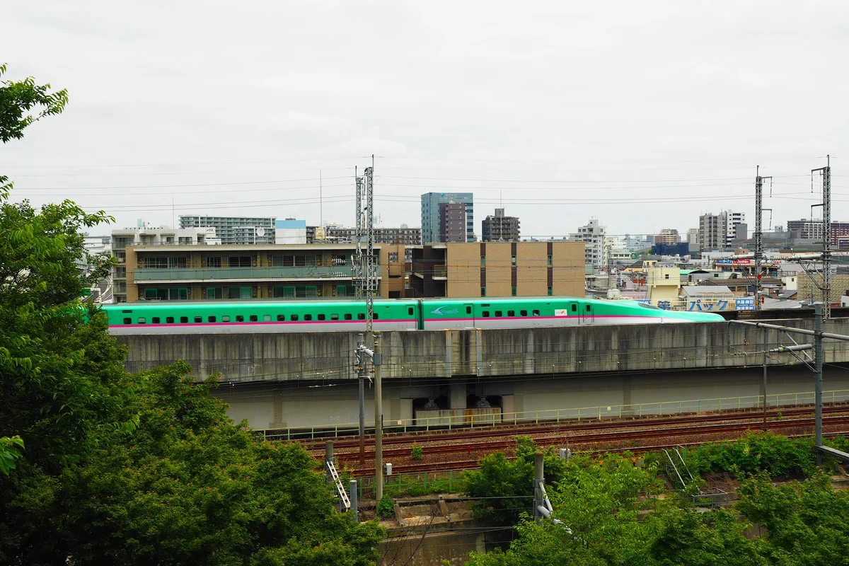 投稿写真：飛鳥山公園にて　はやぶさ