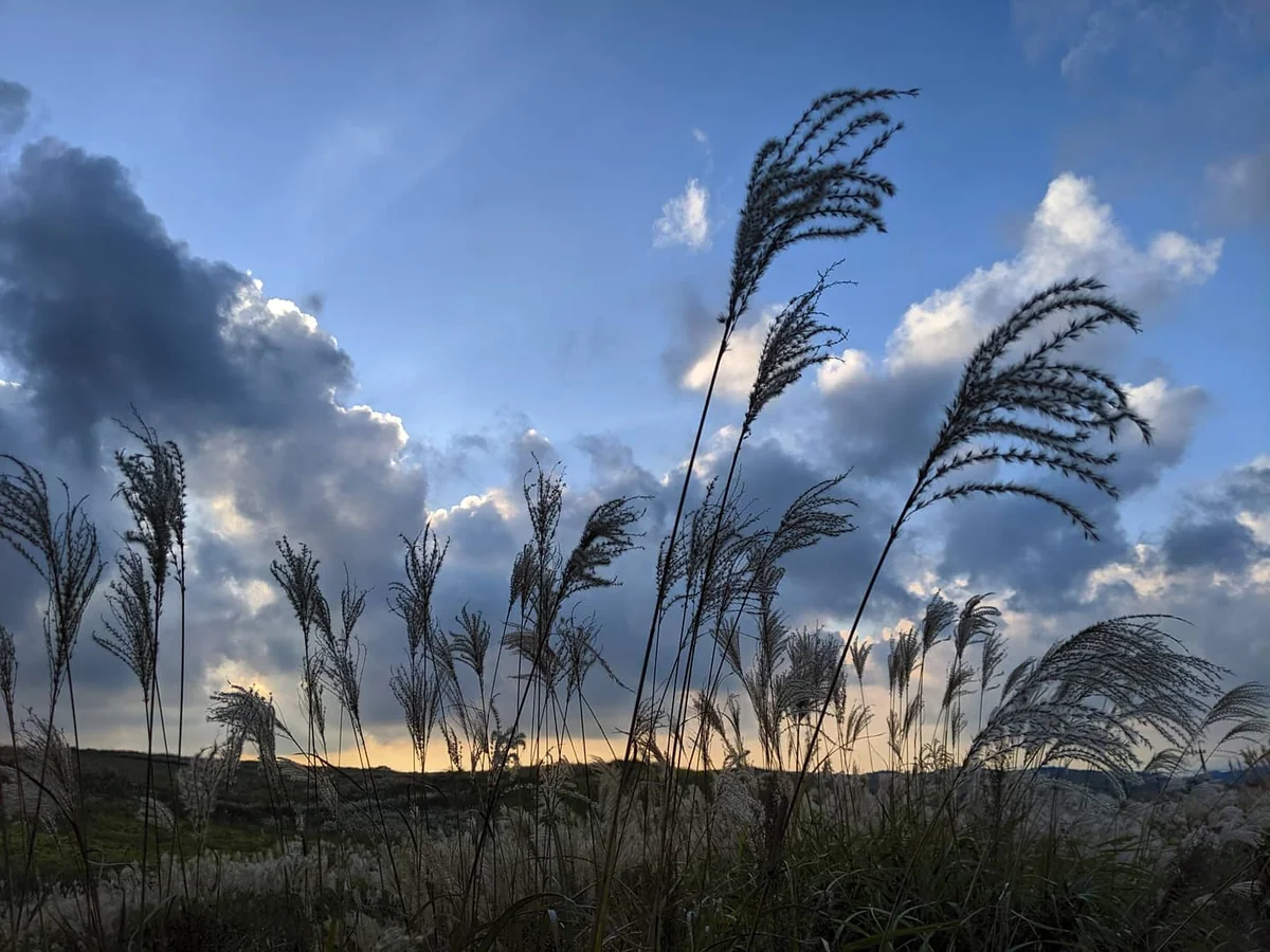 投稿写真：かぶと岩展望所