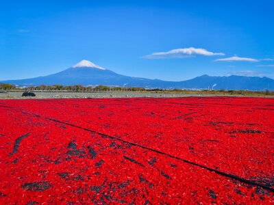  | 絶景事典