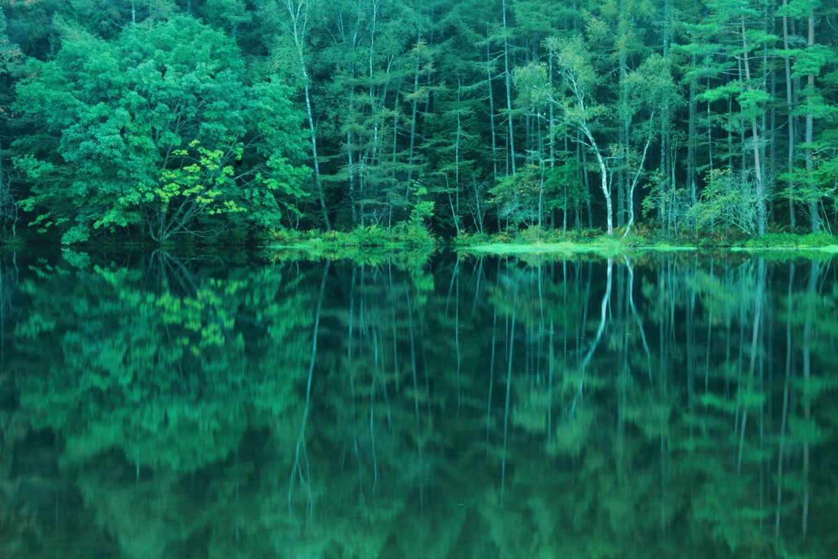 落合俊哉さんの投稿写真