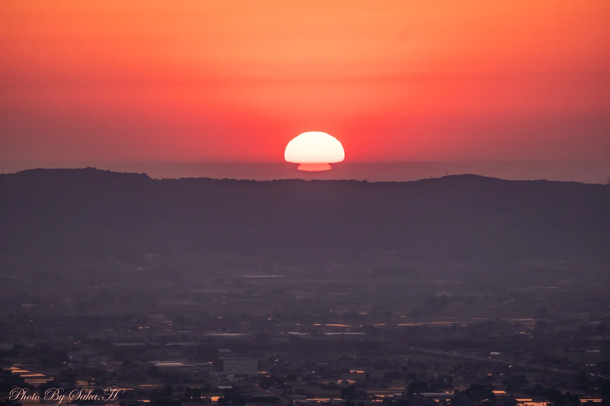 投稿写真：マッシュルーム太陽