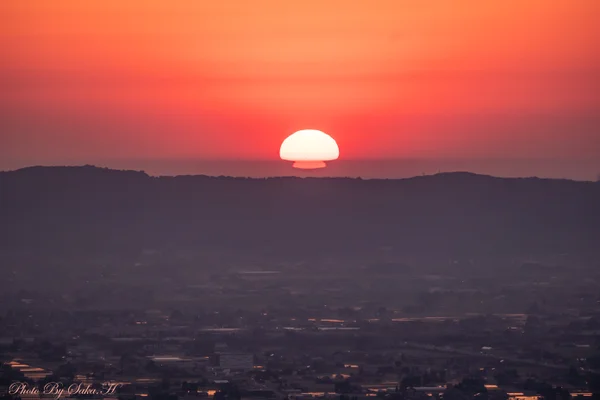 投稿：マッシュルーム太陽