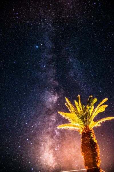 投稿：ヤシの木と天の川